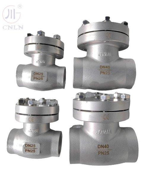Kälteerzeugendes Rückschlagventil des Edelstahl-CDH61F DN25/DN40 für LNG/LOX/LN2/LAR/LCO2