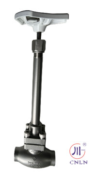 DN25 Kryogene Kugelventile für LNG LOX LIN LAr CO2 PTFE-Ventil CF8 CF3
