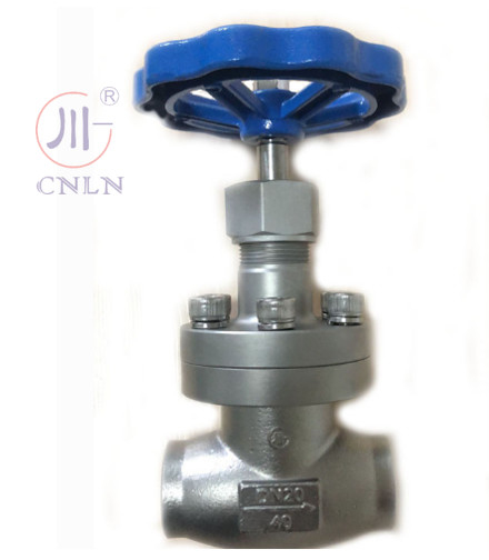 CNLN/Arman DJ61F-40P SS304/316 Kryogene Kugelventil Kurzstammtyp A ((DN10-100mm) für LNG/LOX/LN2 Systeme. CE/ISO/EAC zertifiziert