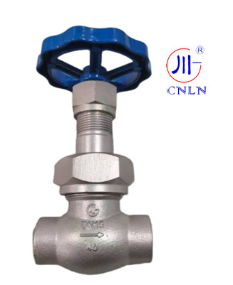 CNLN/Arman DJ61F-40P SS304/316 Kryogene Kugelventile Kurzstammtyp C ((DN10-50mm) für LNG/LOX/LN2 Systeme. CE/ISO/EAC zertifiziert