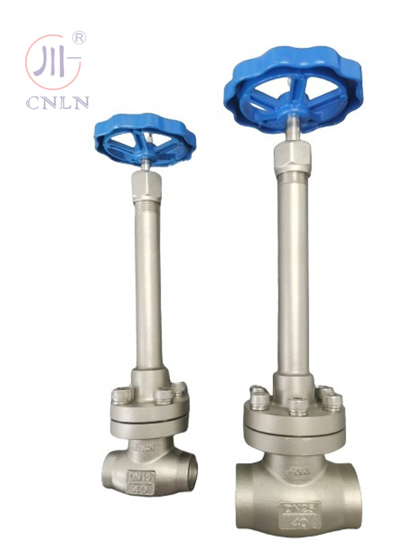 Handwerkliches Kryogenen Kugelventil aus Edelstahl DN25/DN15 für LNG/LOX/LN2/LAR/LCO2