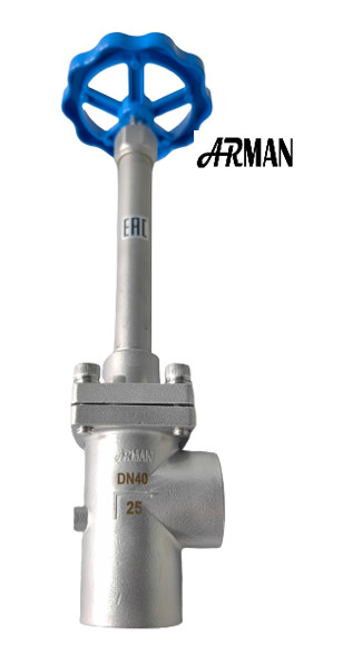 SS304/316 Kryogene Kugelventile mit langem Stammwinkel (DN15-40mm) für LNG
