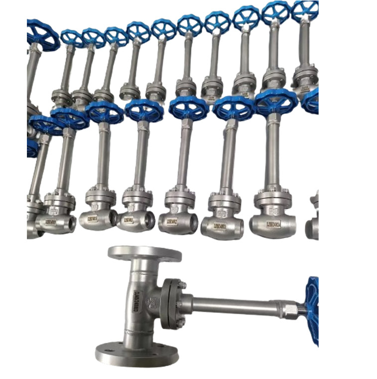 DN10-100 PN50 Socket-Welding Cryogenic Globe Valve -196- 80 °C für LNG LOX LIN LAR LCO2