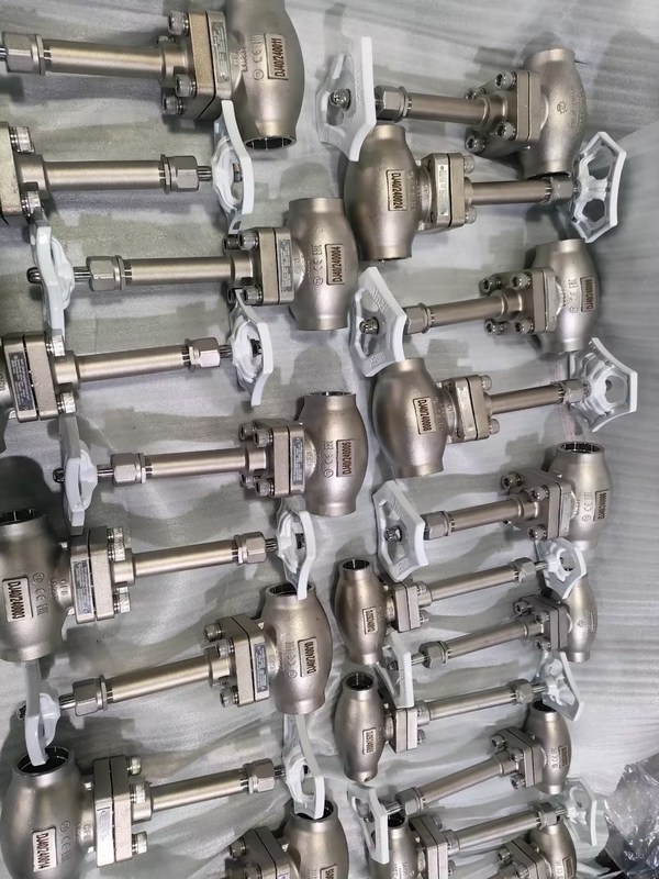 DN25 Kryogene Kugelventil Edelstahl 304/316 mit PTFE-Dichtung und CF8/CF3-Ventilgehäuse für Anwendungen von -196 °C bis +80 °C