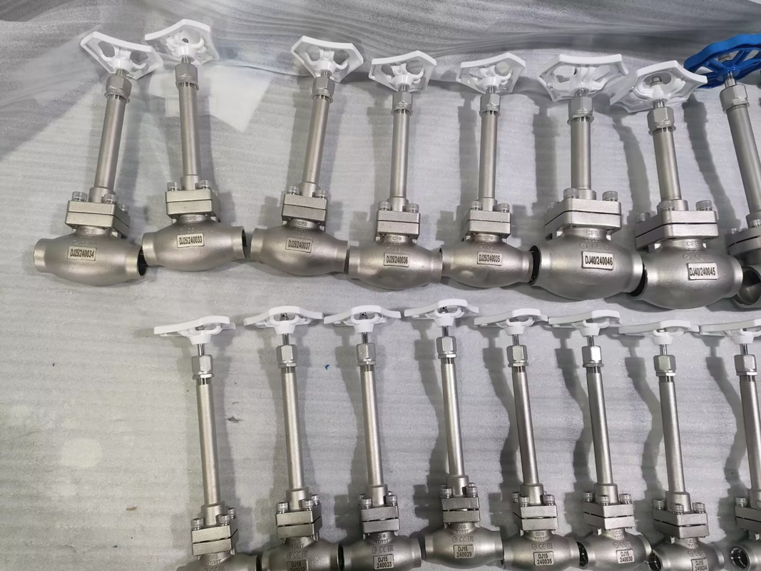 DN25 Kryogene Kugelventil Edelstahl 304/316 mit PTFE-Dichtung und CF8/CF3-Ventilgehäuse für Anwendungen von -196 °C bis +80 °C