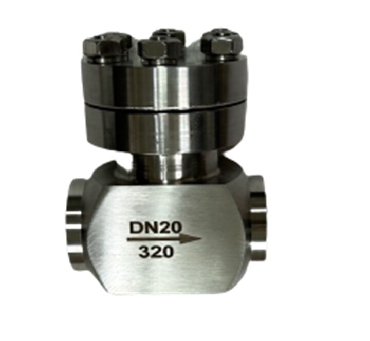 Kryogene Rückschlagventil mit 320 Mpa maximalem Druck Edelstahl 304/316 für Temperaturbereich -196 bis +80 °C